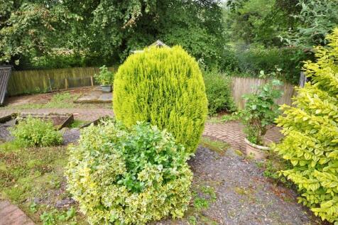 Planted Area