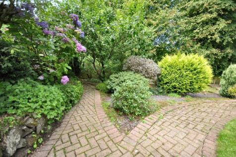 Back Garden