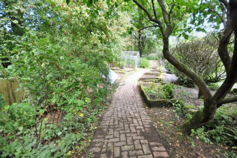 Back Garden