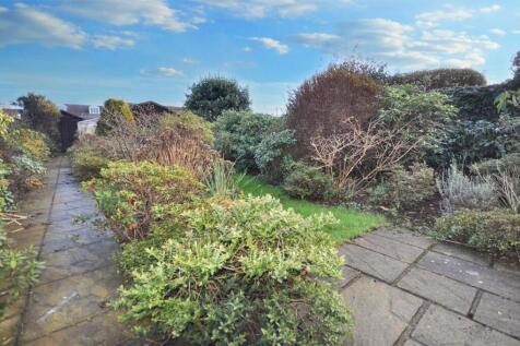 Back Garden
