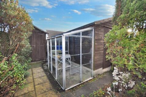 Back Garden