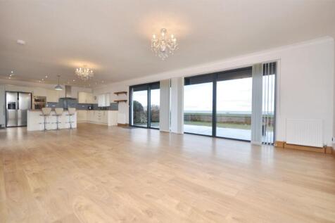 Living Room/Kitchen