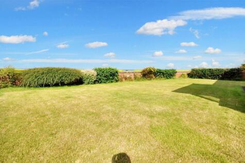 Back Garden