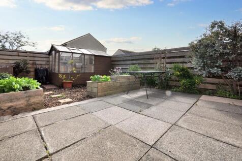 Back garden 