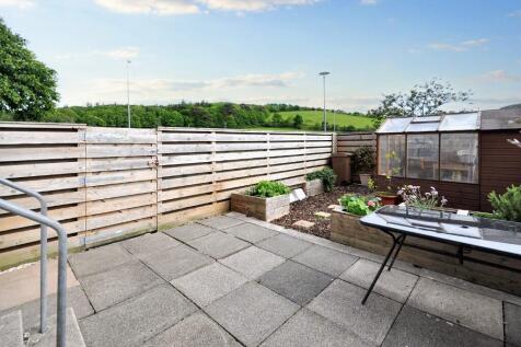 Back garden 