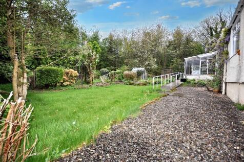 Back Garden