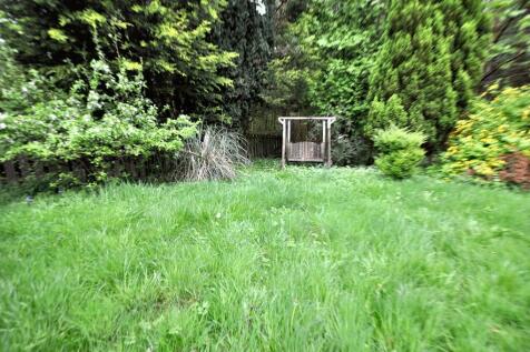Back Garden