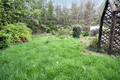 Back Garden