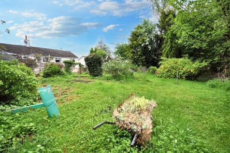 Back Garden