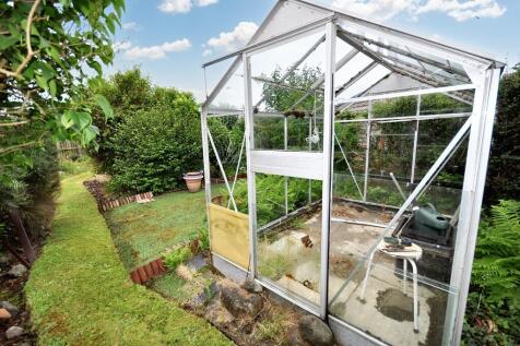 Back Garden