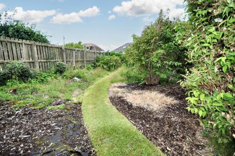Back Garden