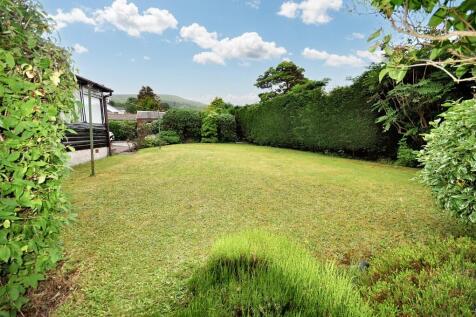 Back Garden