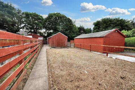 Back Garden
