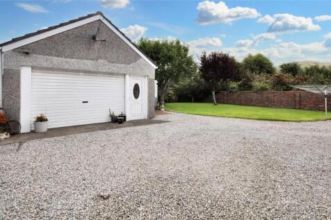 Back Garden