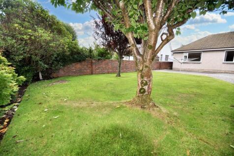 Back Garden