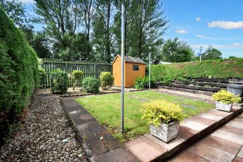 Back Garden 