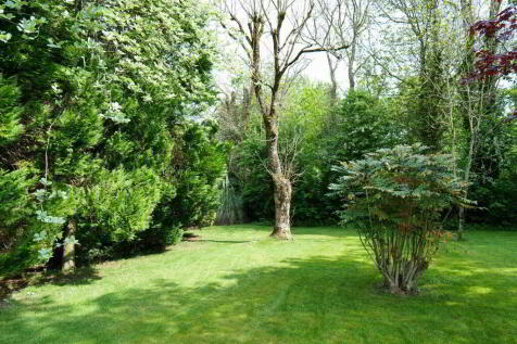 Property Image 26