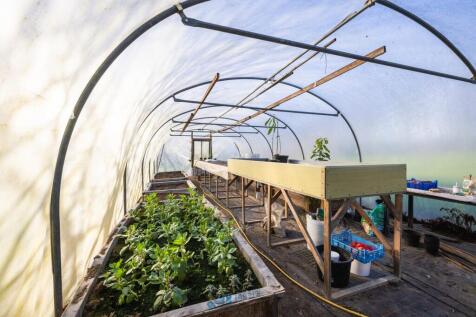 Polytunnel