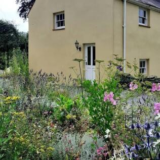 Property Image 41