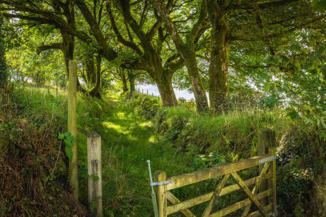 Property Image 39