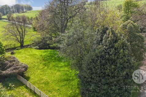 Plot View
