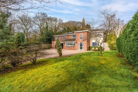 Property Image 37