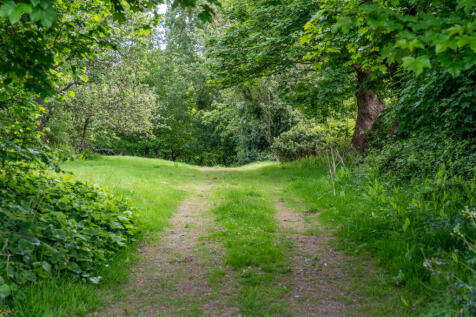 Property Image 50
