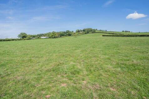 Property Image 44
