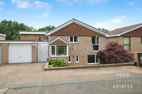 Property Image 35
