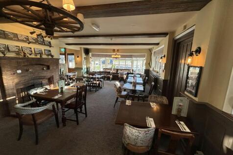 Photo   11 36 AM.jpg