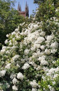 IMG_20250620_122213_1_edit_9193628804846