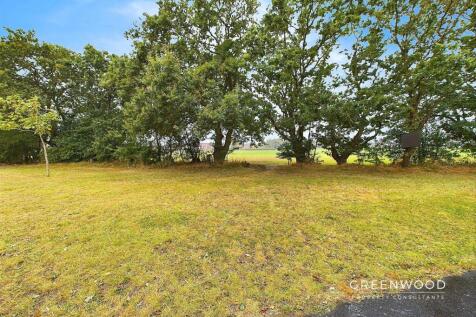 CAM01514G0-PR0095-STILL021 (1).jpg