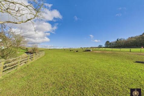 CAM03841G0-PR0058-STILL003.jpg