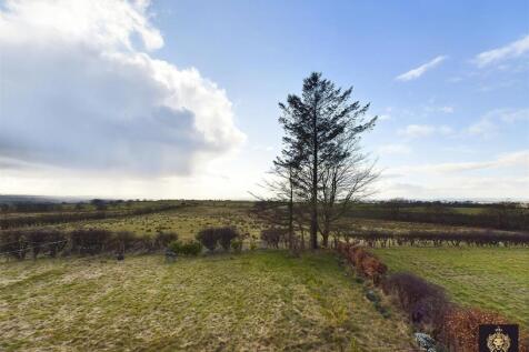 CAM03841G0-PR0057-STILL078.jpg