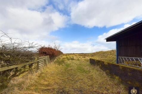 CAM03841G0-PR0057-STILL005.jpg