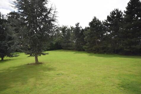 Communal Garden
