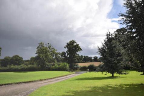 Driveway and View