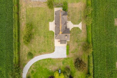 Birds Eye