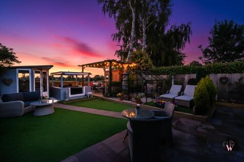 garden twilight.jpg