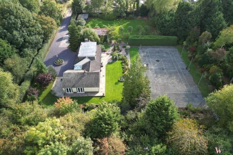 DJI_0575.jpg