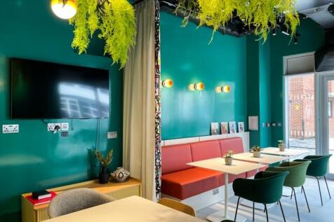 Brighton-2022 (34...