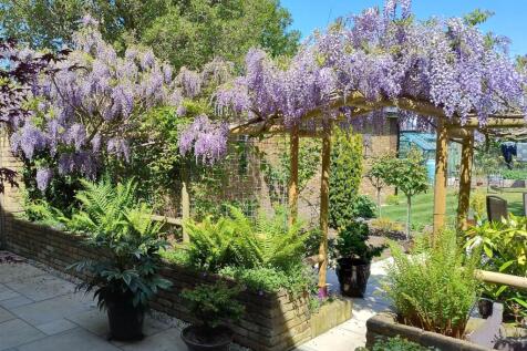Garden (1)