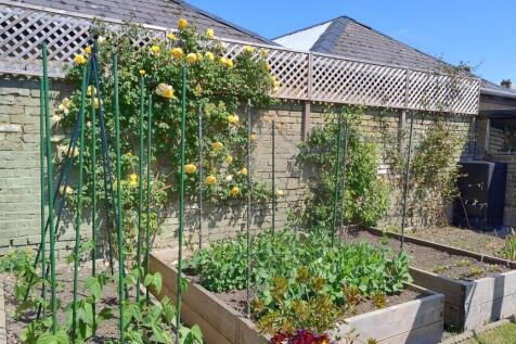 Garden (12)