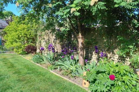 Garden (14)