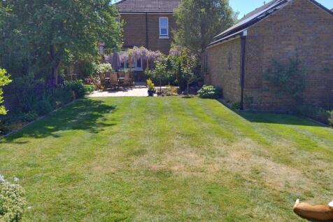 Garden (2)