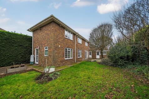 Rear Garden (1)