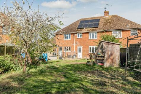 Rear Garden (2)