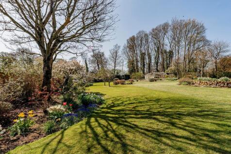 Garden (10)