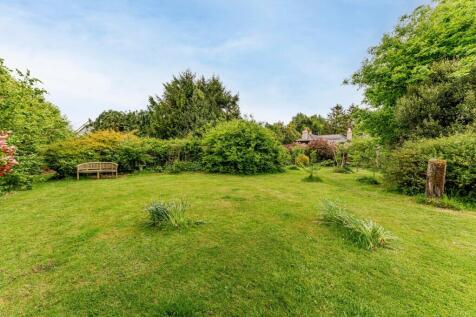 Rear Garden (1)