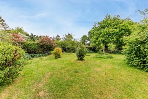 Rear Garden (2)